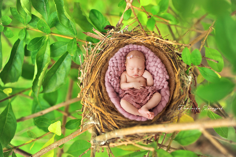 Zdjęcia noworodkowe w naturze warszawa