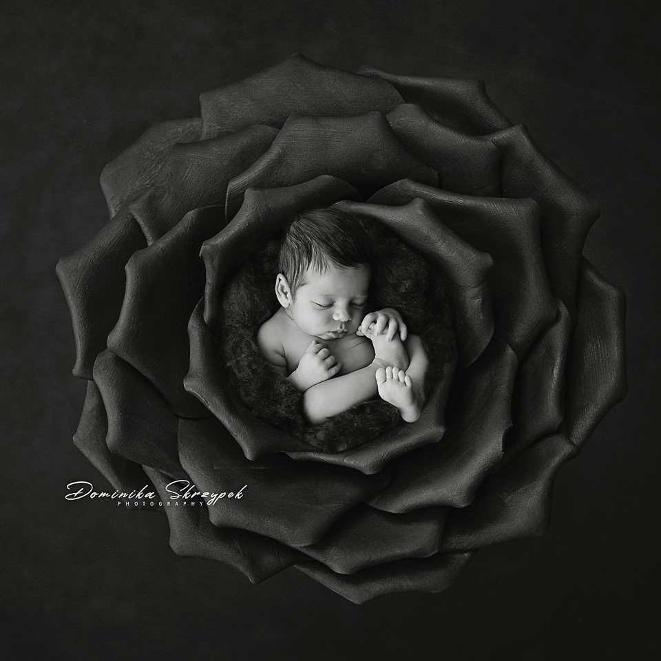 zdjęcia noworodkowe w naturze warszawa, czarno biała fotografia dziecięca