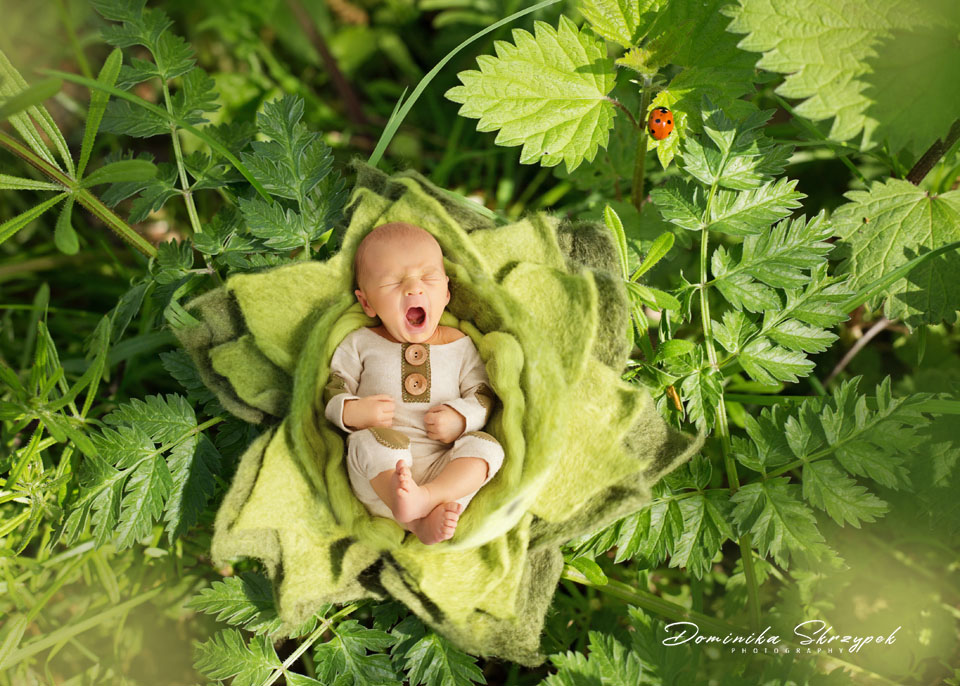 Zdjęcia noworodkowe w naturze, zdjęcia w plenerze warszawa