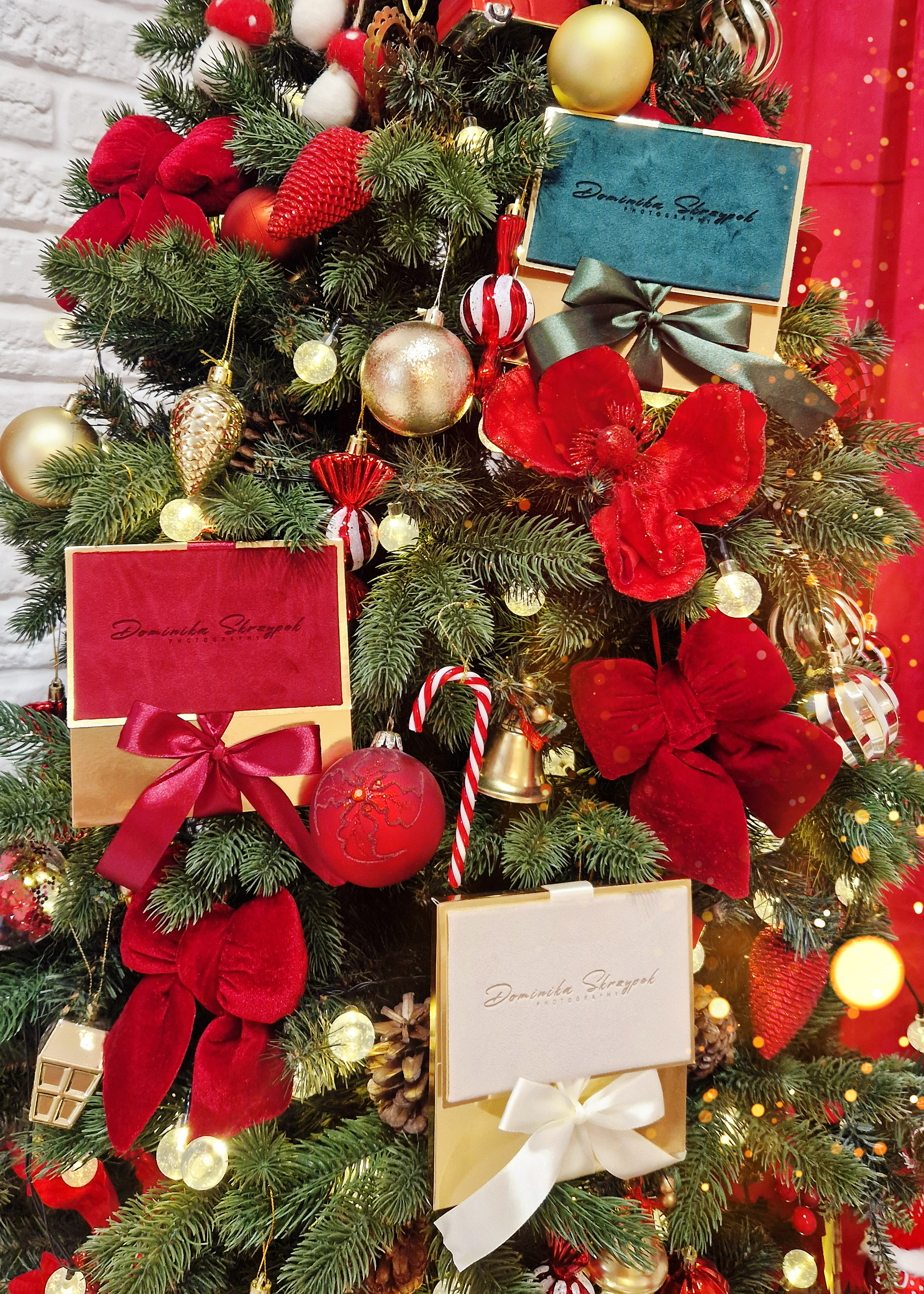 Voucher na sesje świąteczną