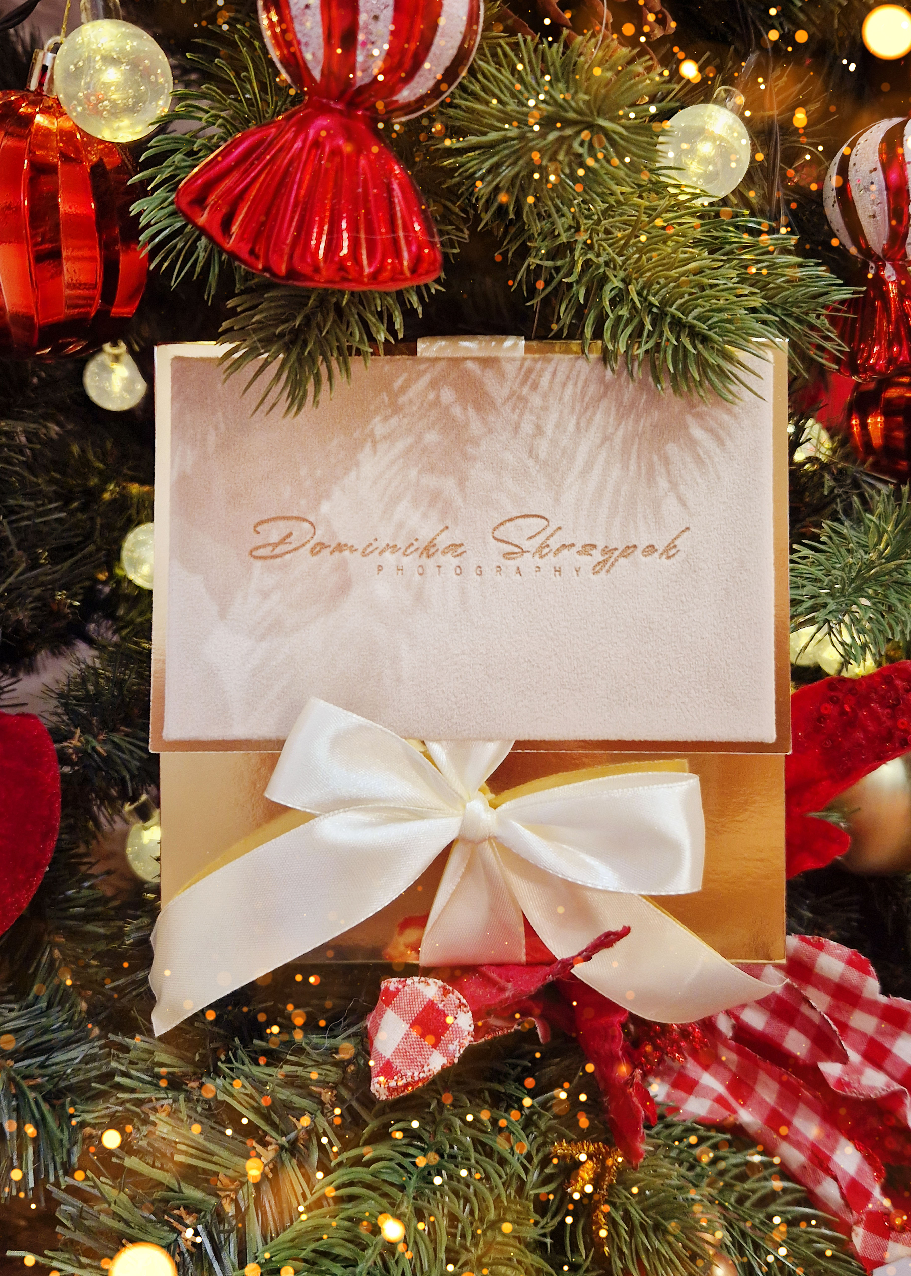 sesja zdjęciowa w prezencie warszawa