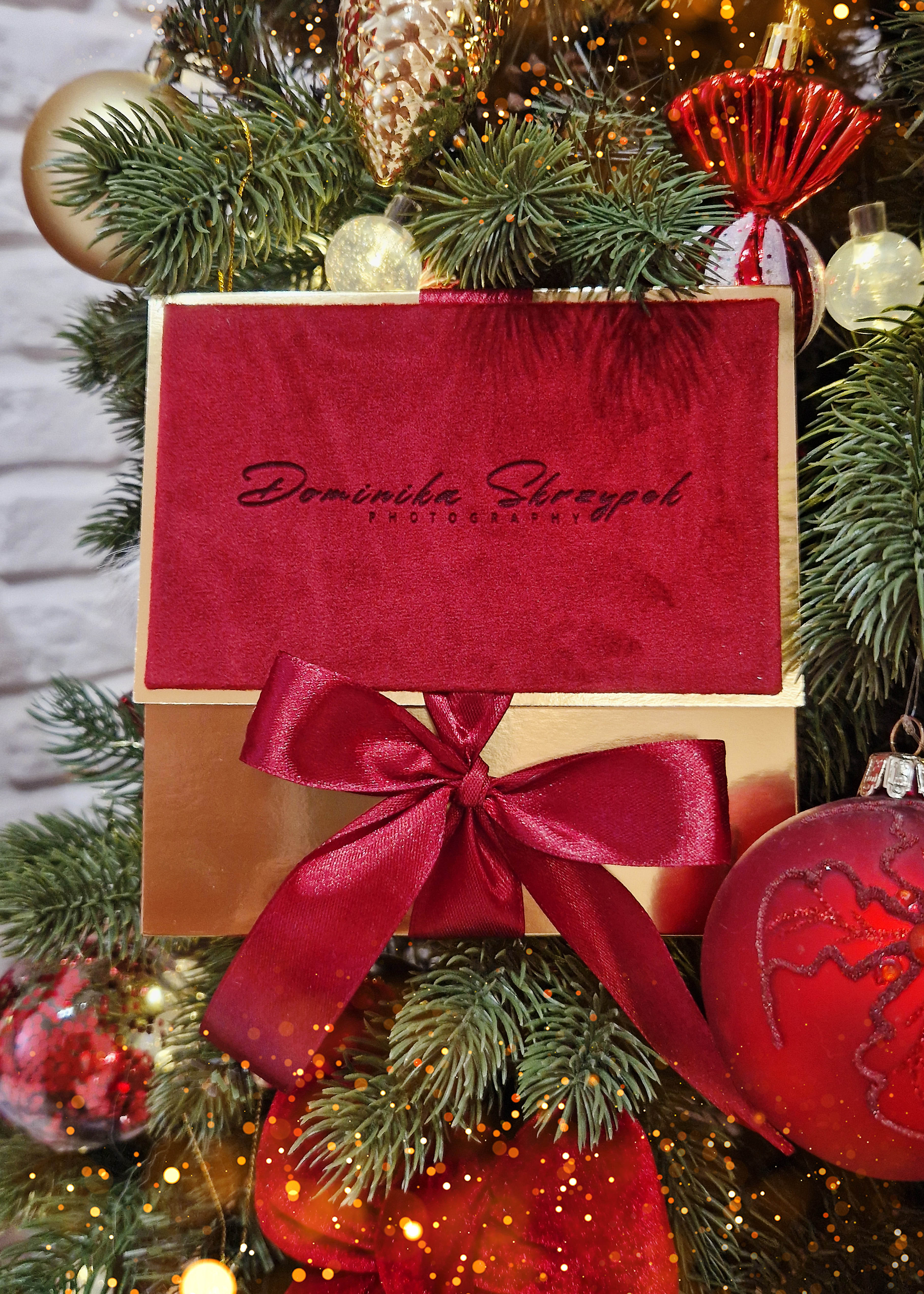 sesja zdjęciowa w prezencie warszawa