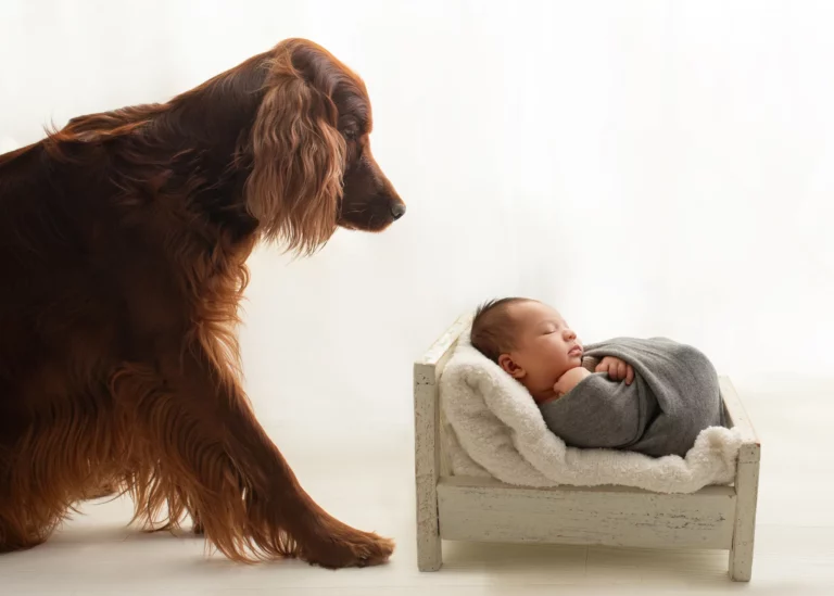 Maternity session in Warsaw – photography by Dominika, shot 41.