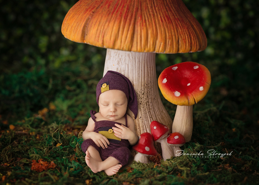 Dwarf newborn session warsaw