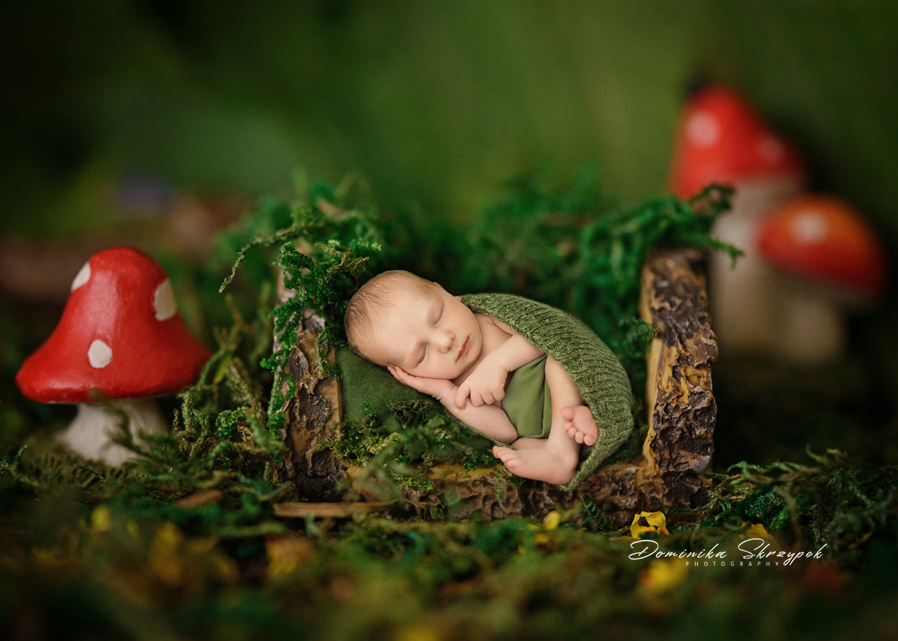 Little dwarf newborn session warsaw