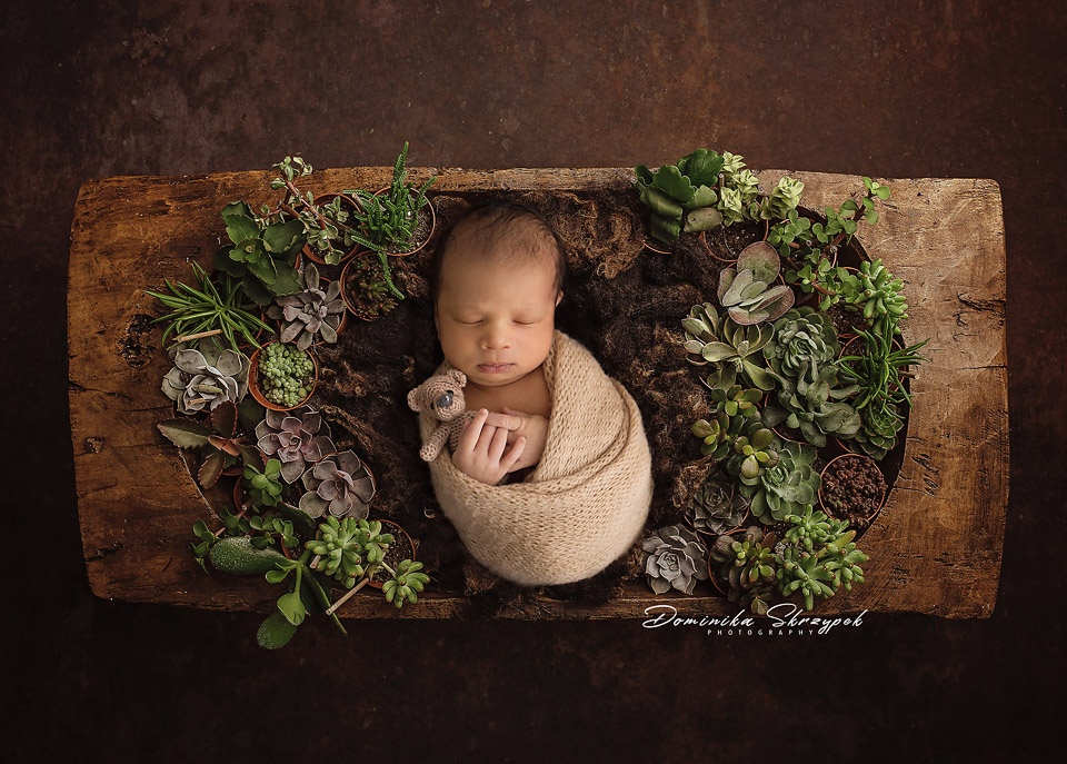 Newborn session warsaw green4