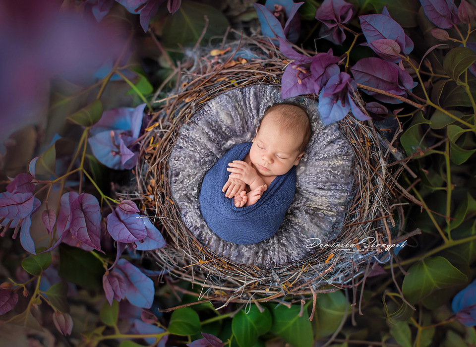 blue newborn session warsaw copy