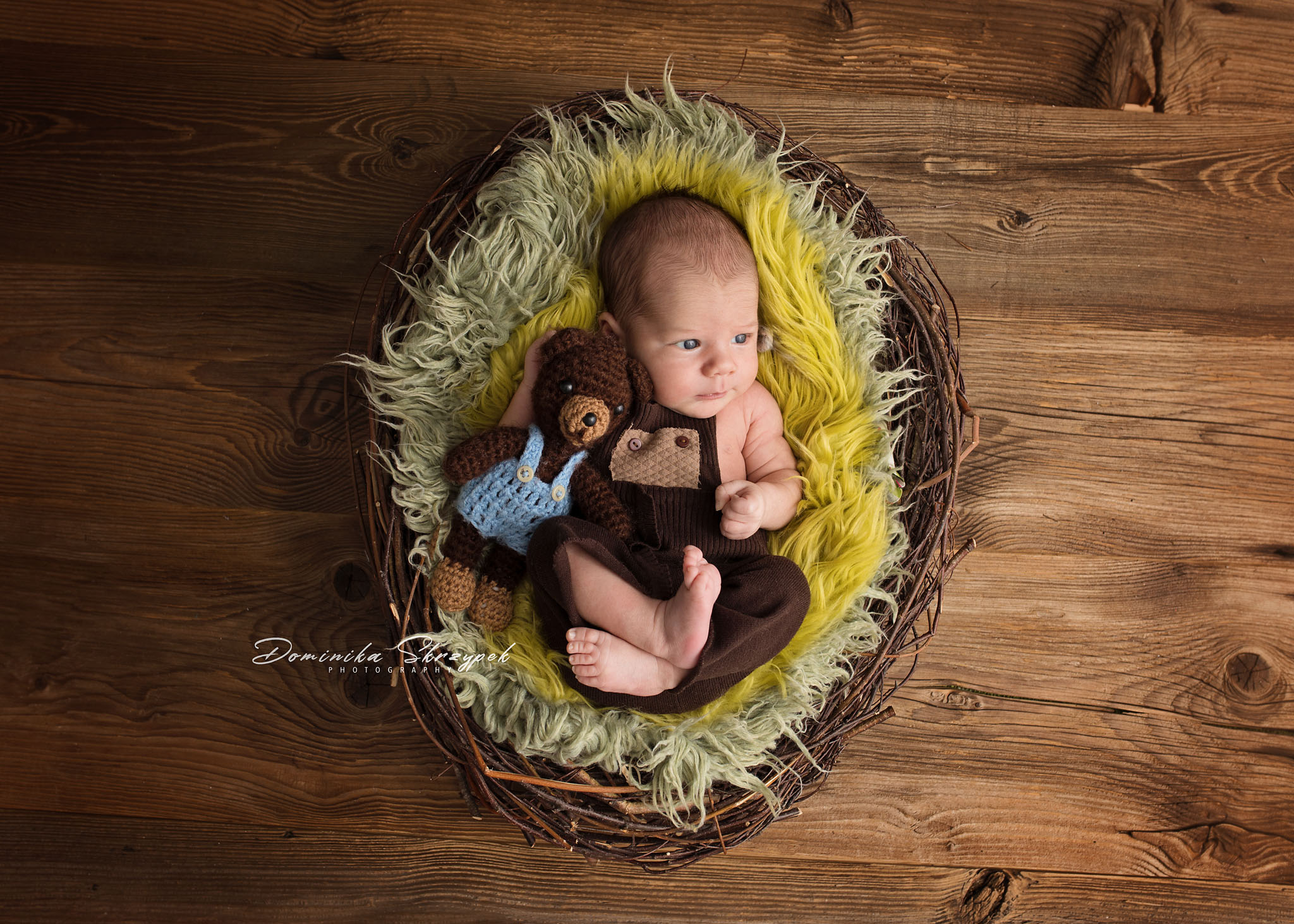 wood newborn session warsaw