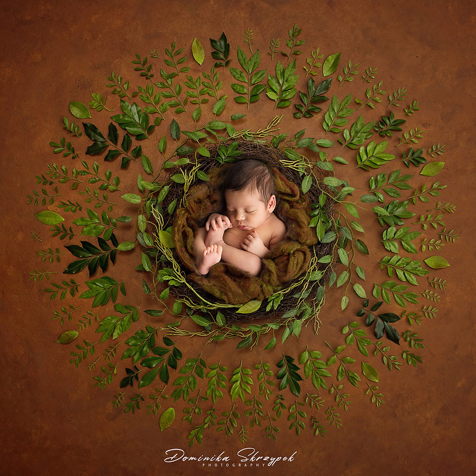 newborn photographer warsaw