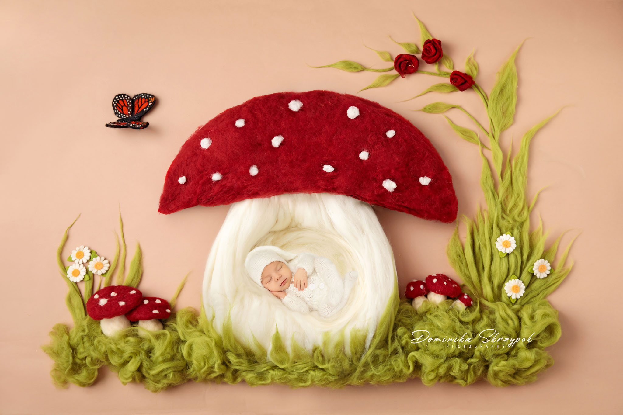 toadstool newborn session warsaw
