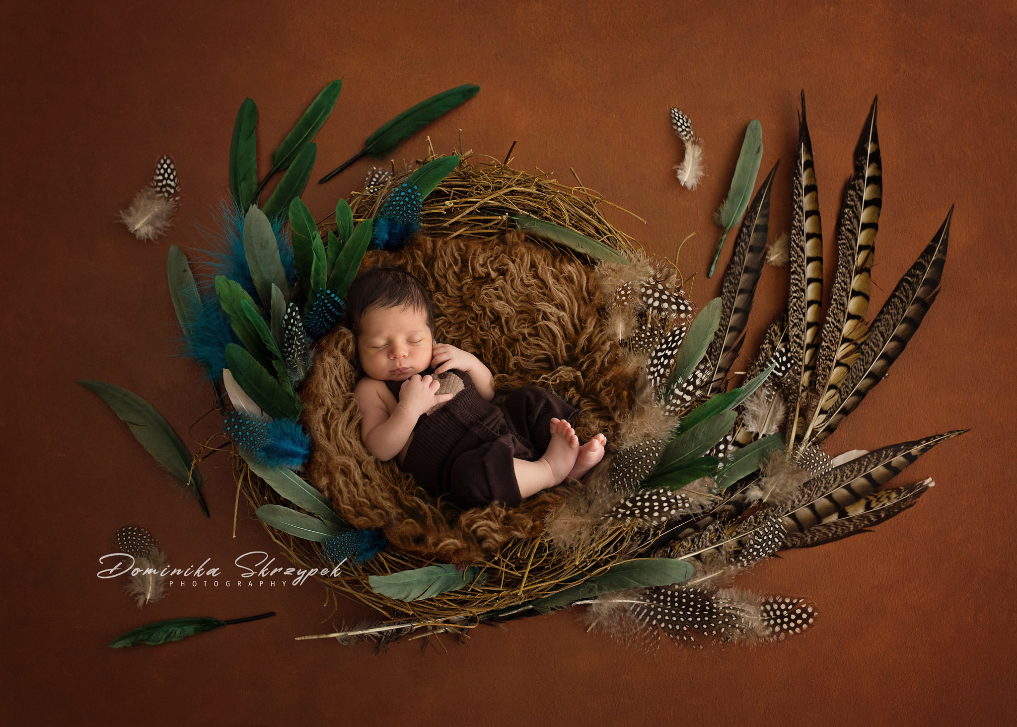 nest newborn session warsaw