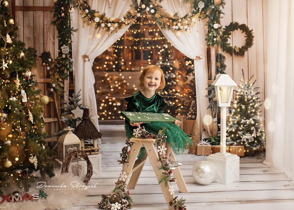 Christmas mini sessions 2024