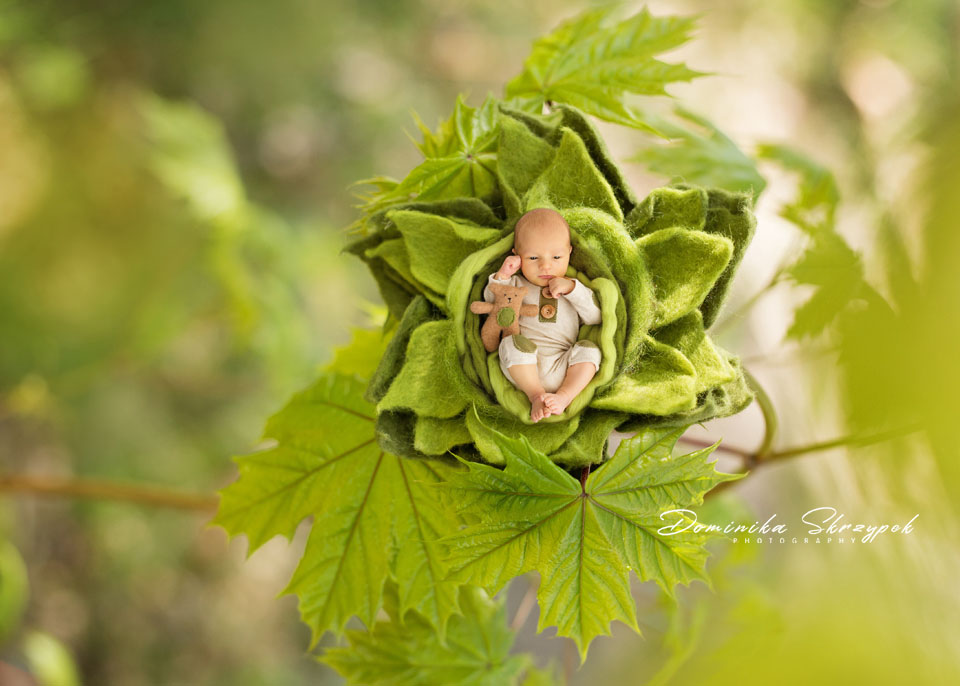 greenery2 newborn session warsaw