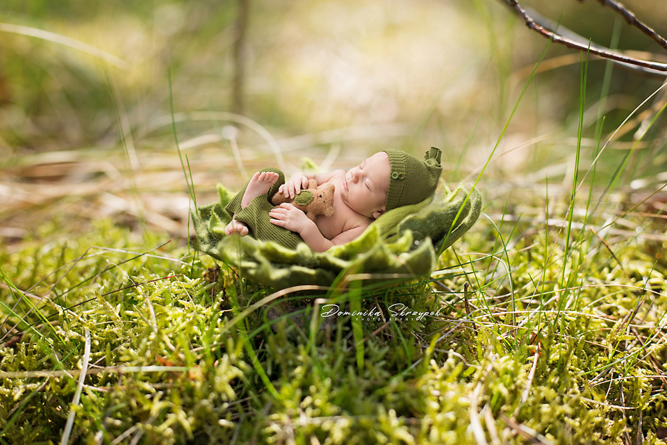 greenery newborn session warsaw